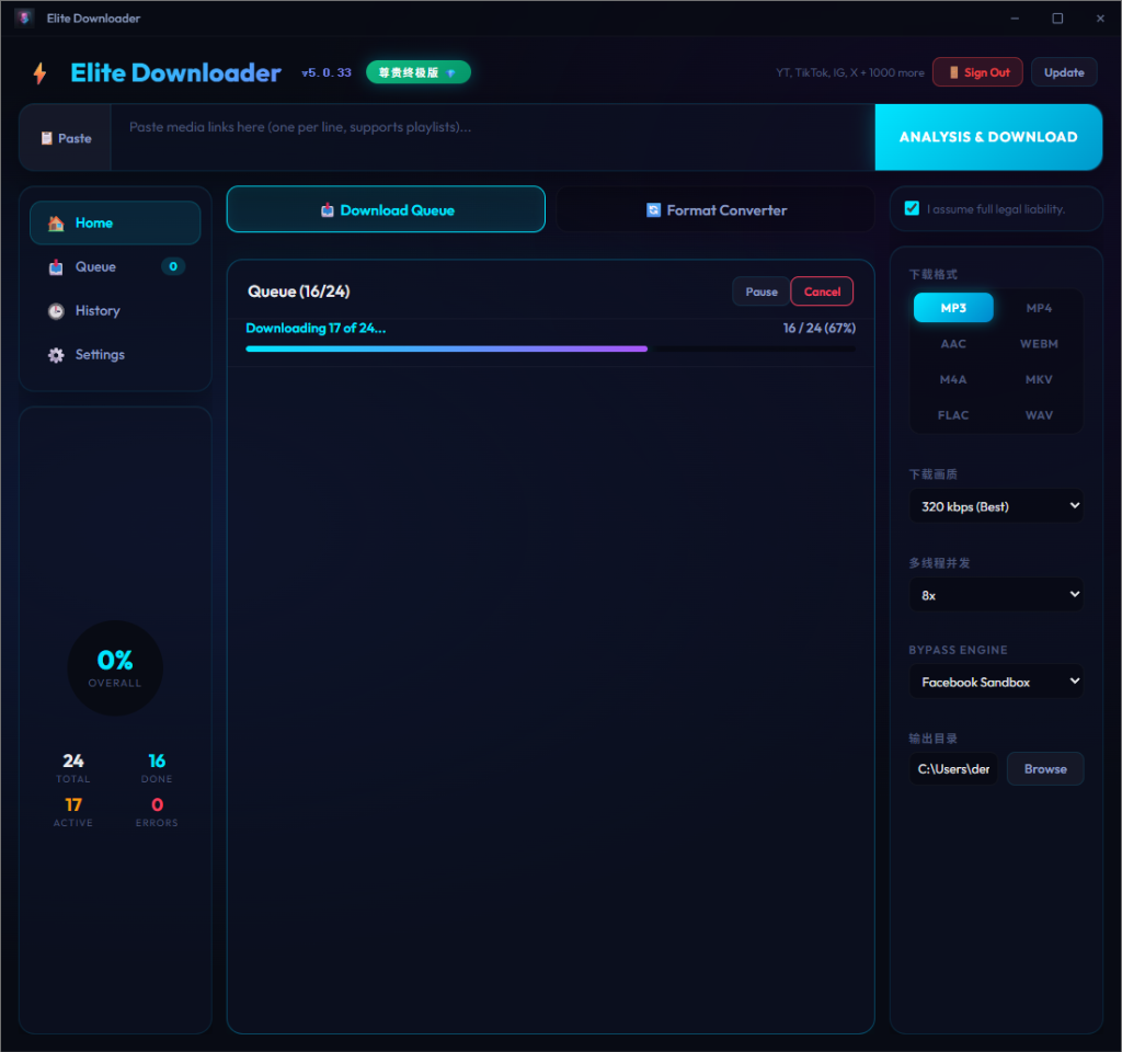 Elite Downloader Application Interface